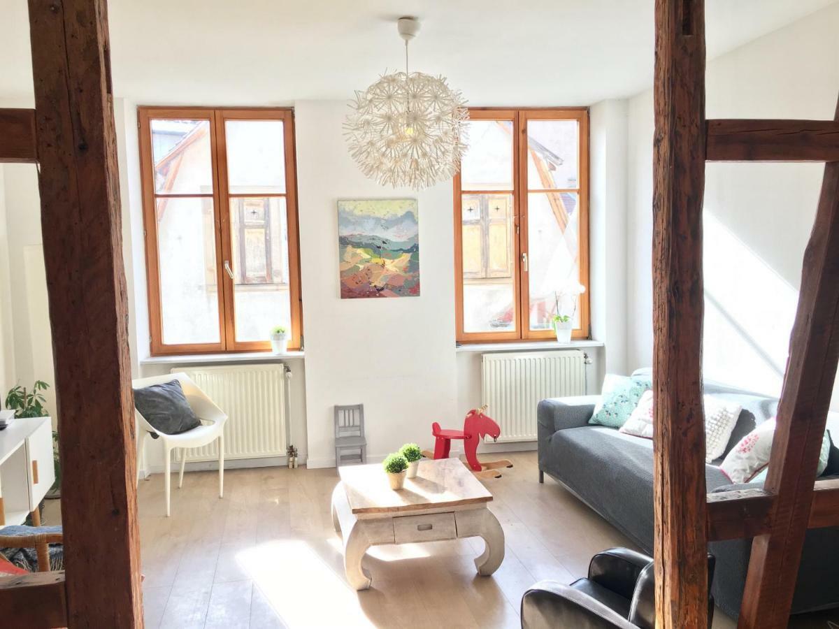 Gite Atelier De Hansi - Colmar Centre Экстерьер фото