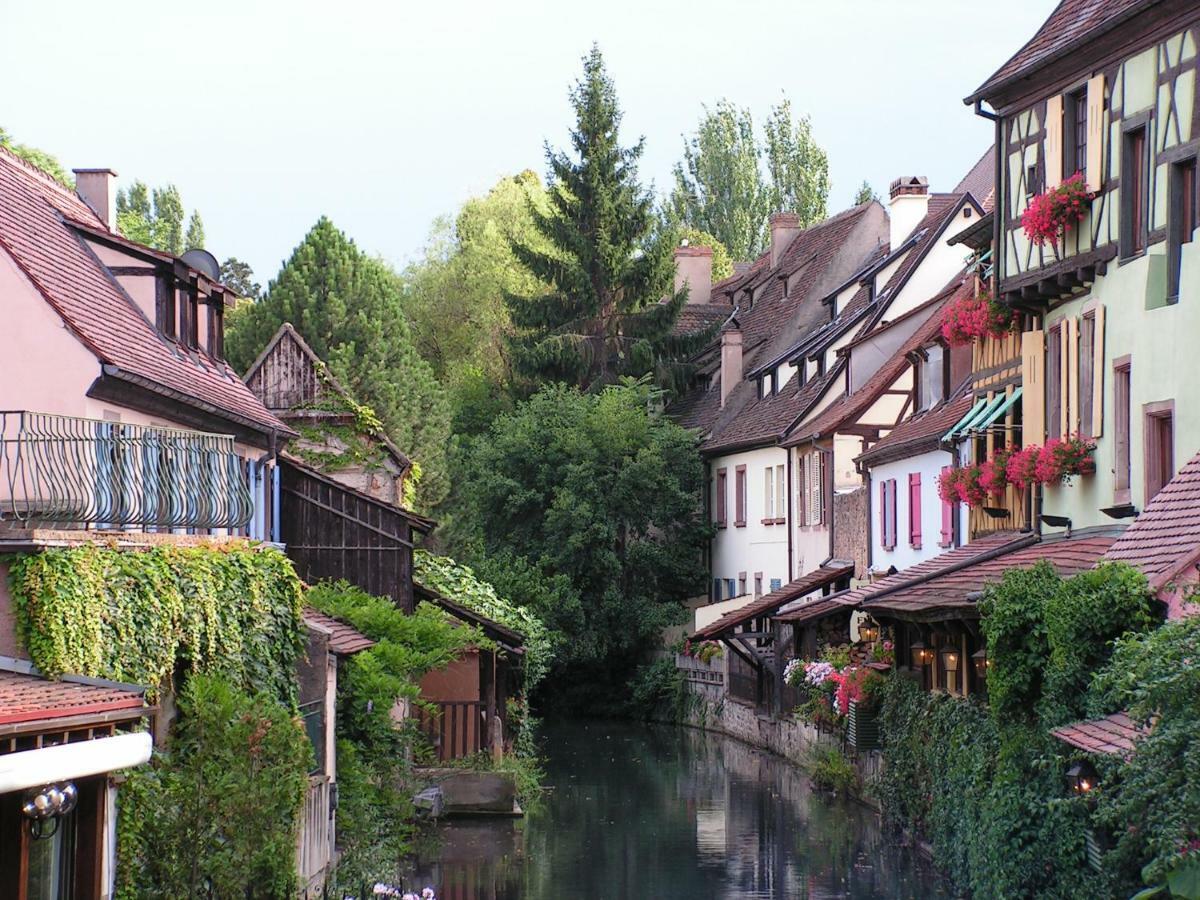 Gite Atelier De Hansi - Colmar Centre Экстерьер фото
