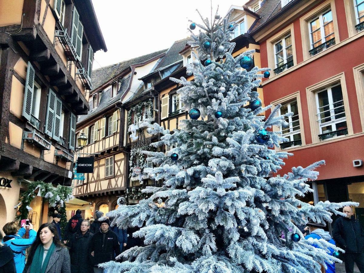 Gite Atelier De Hansi - Colmar Centre Экстерьер фото