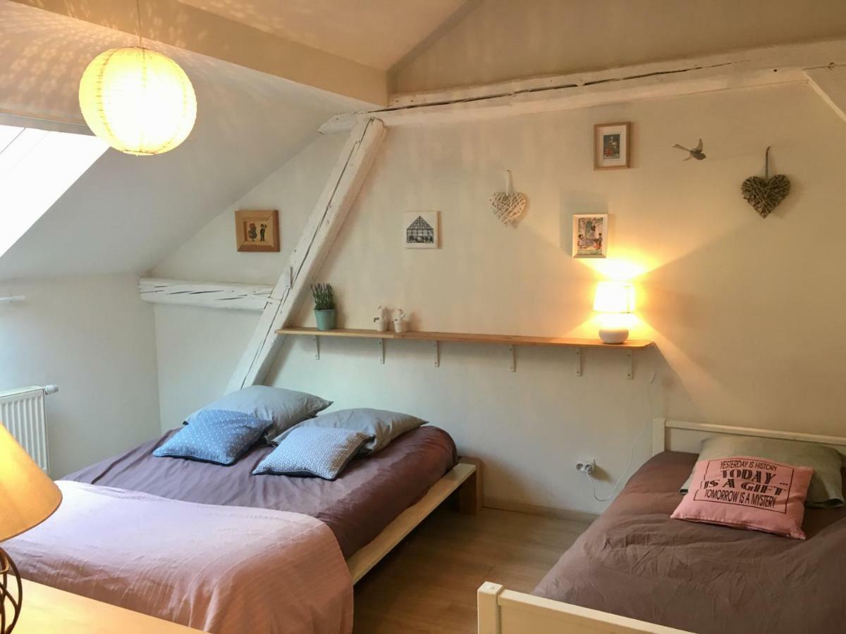 Gite Atelier De Hansi - Colmar Centre Экстерьер фото